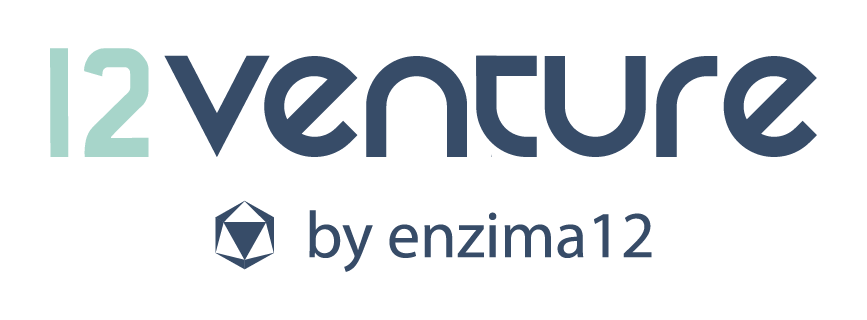 Logo 12Venture